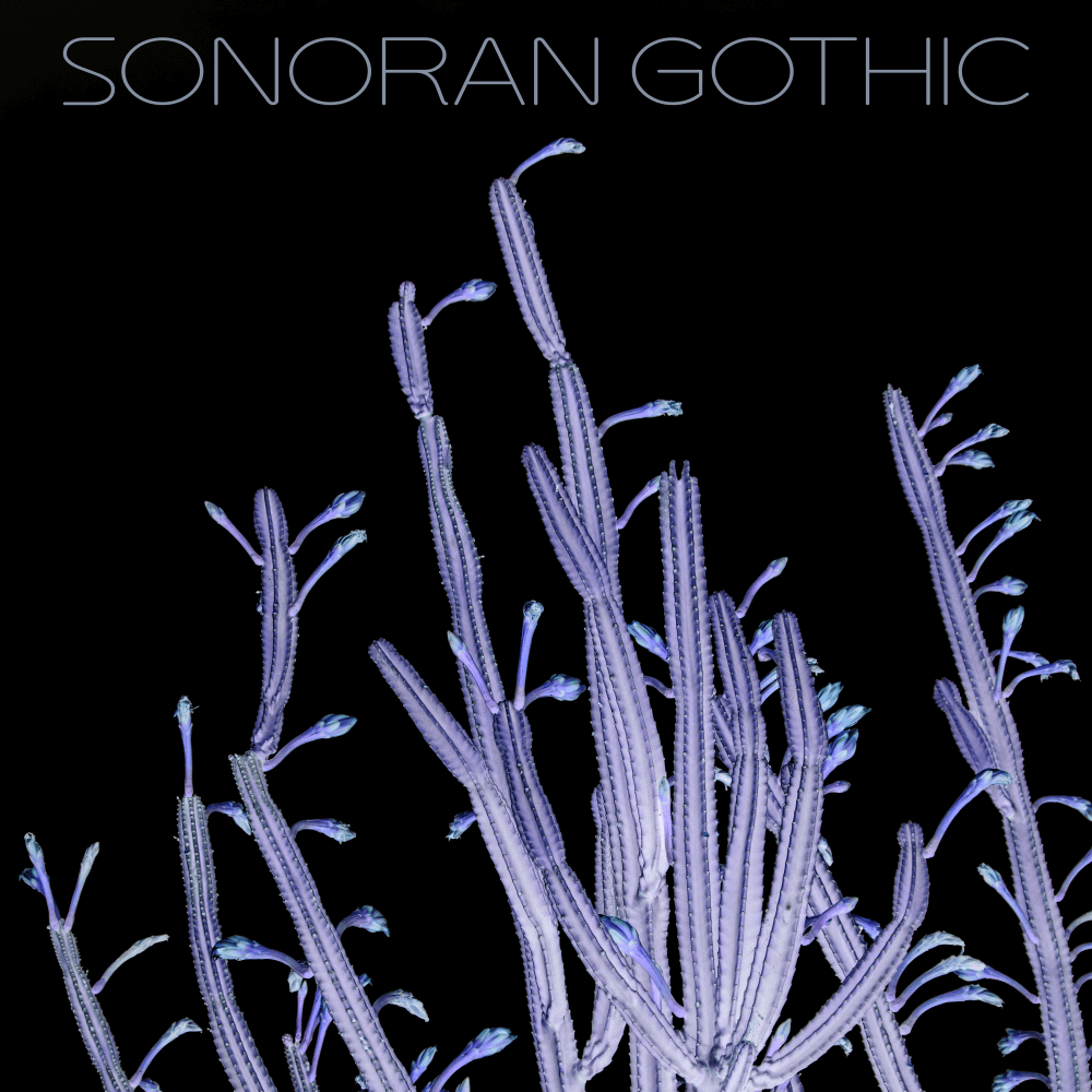 Sonoran Gothic Album by Sonoran Gothic, Tucson AZ